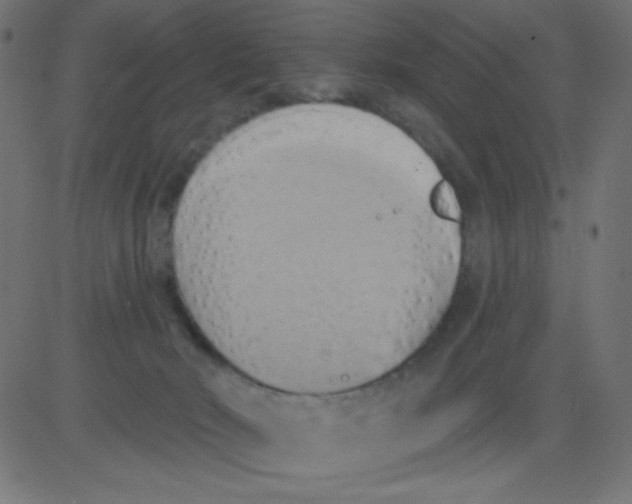 X0000081300030200702012320