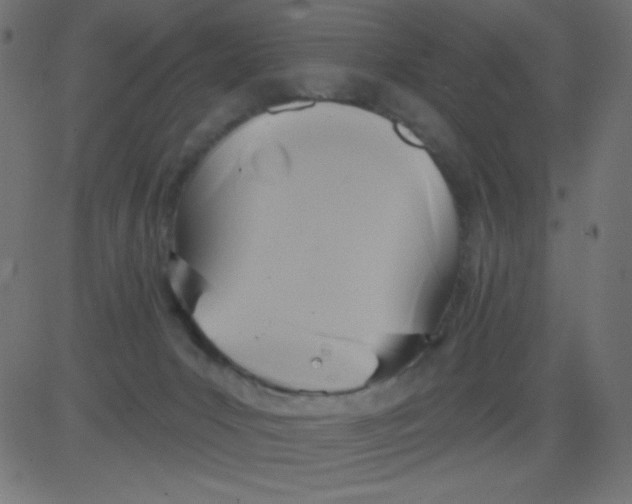 X0000081300031200702012320