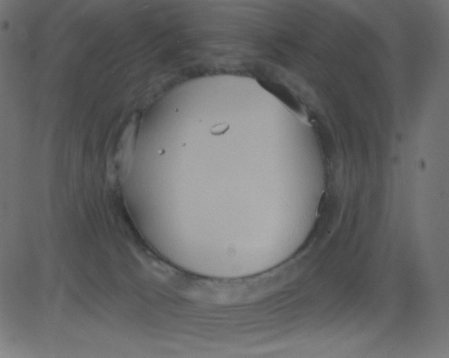 X0000081300033200702012320