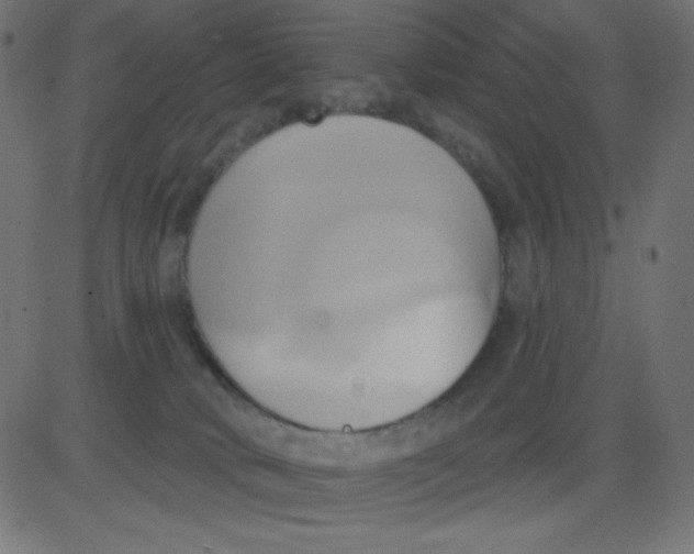 X0000081300034200702012320