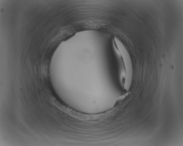 X0000081300035200702012320