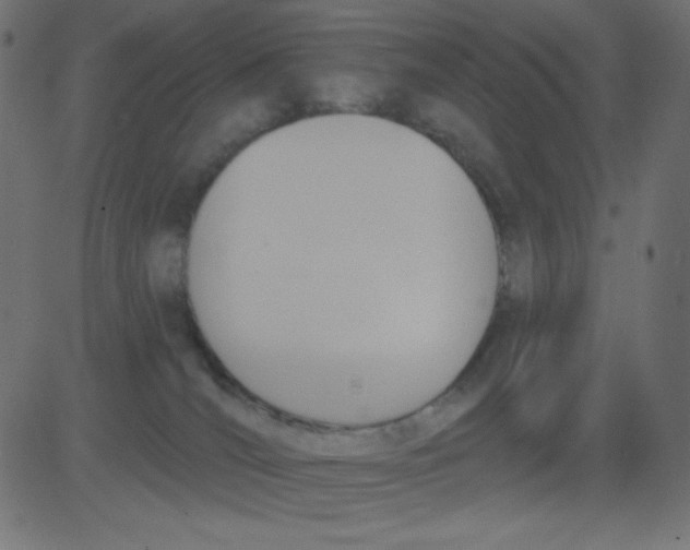 X0000081300036200702012320