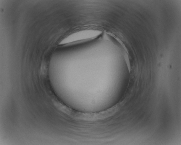 X0000081300037200702012320