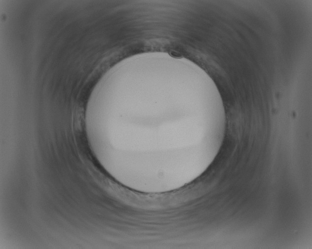 X0000081300038200702012320