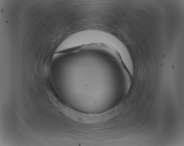 X0000081300039200702012320