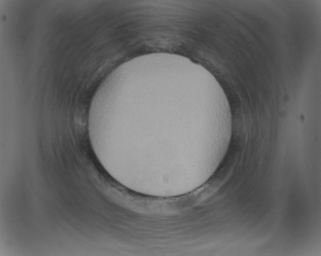 X0000081300040200702012320