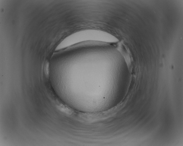 X0000081300041200702012320