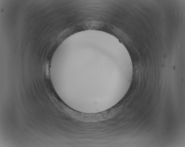 X0000081300042200702012320