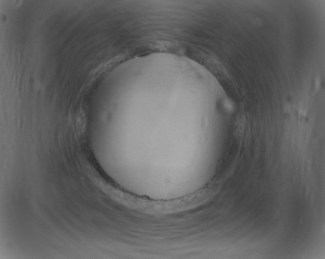 X0000081300043200702012320