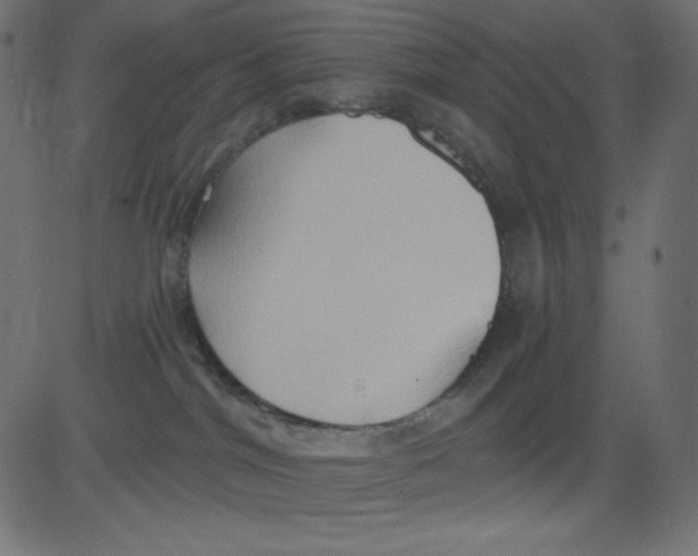 X0000081300044200702012320