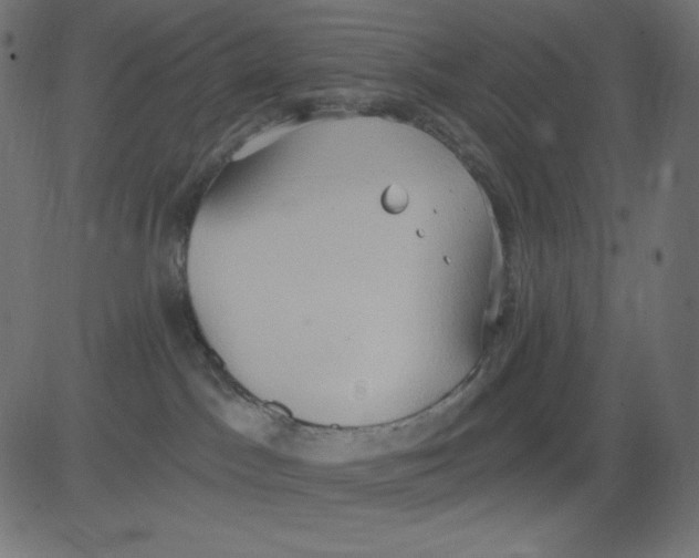 X0000081300045200702012320