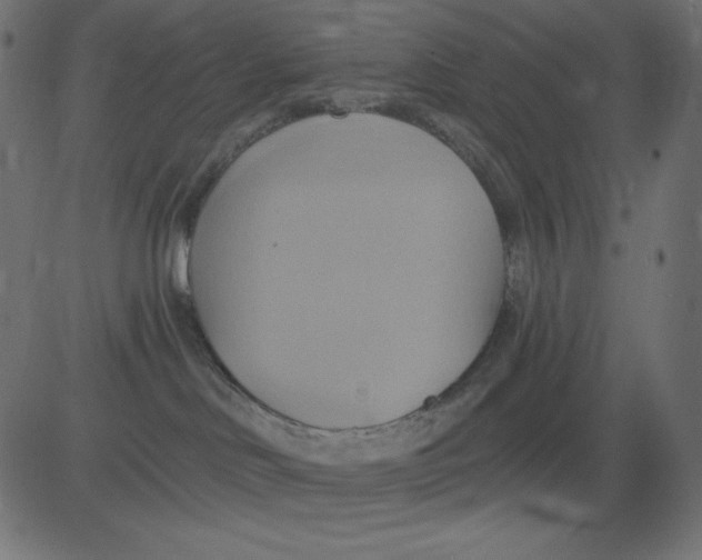 X0000081300046200702012320