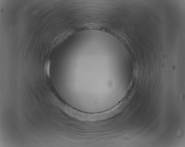 X0000081300047200702012320