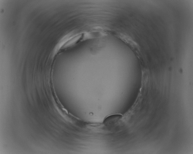 X0000081300051200702012319