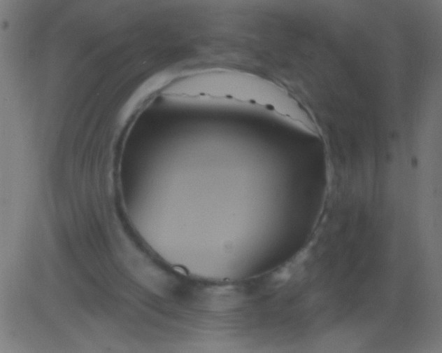 X0000081300054200702012319