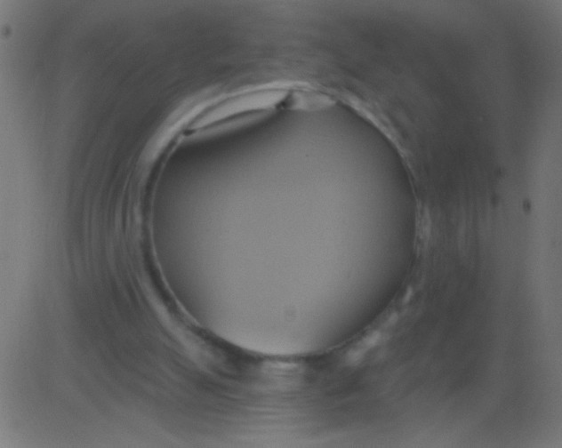 X0000081300055200702012319