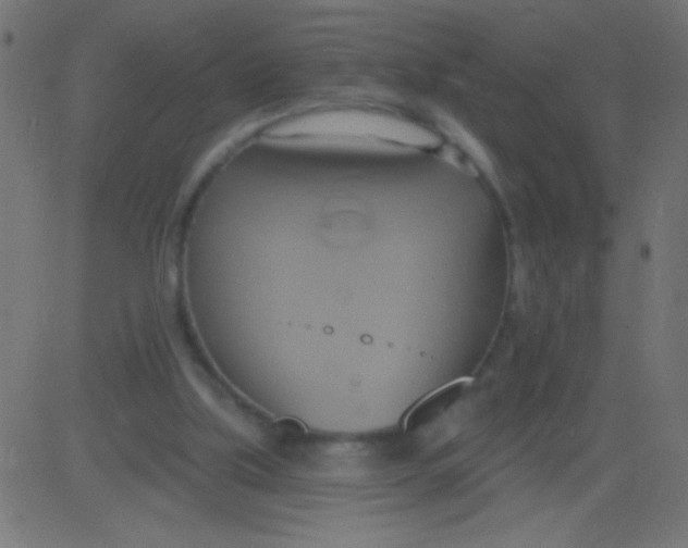 X0000081300059200702012319