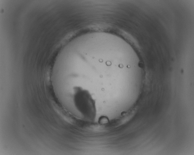 X0000081300065200702012320