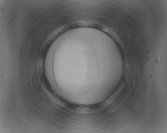 X0000081300066200702012320