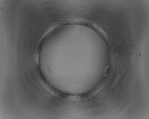 X0000081300067200702012320