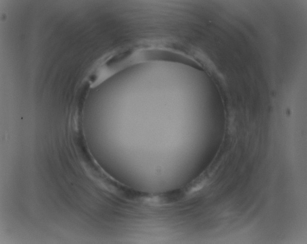 X0000081300068200702012320