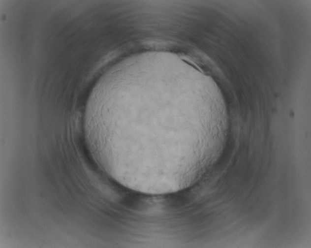 X0000081300071200702012320