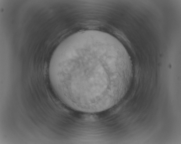 X0000081300073200702012320