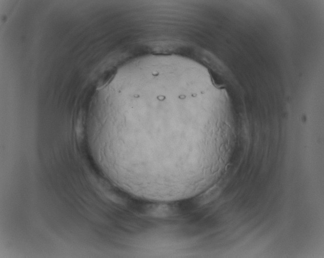 X0000081300074200702012320