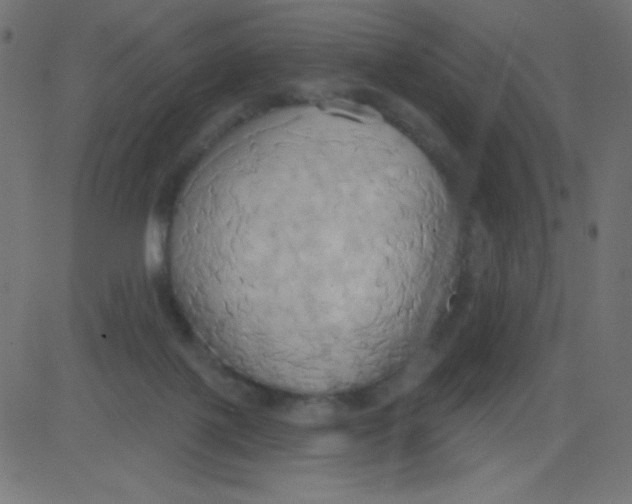 X0000081300075200702012320