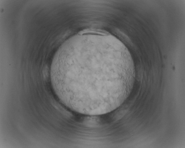 X0000081300077200702012320