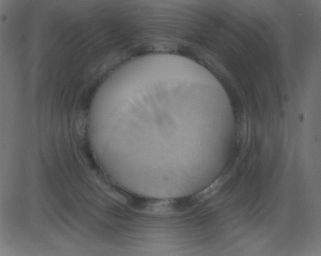 X0000081300078200702012320