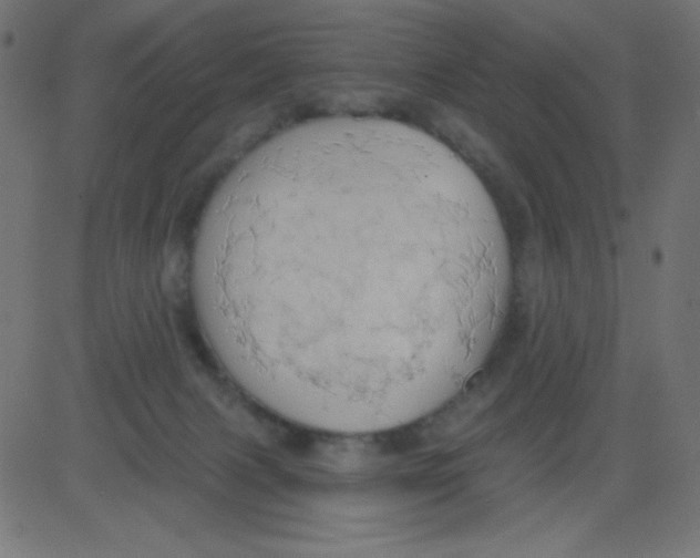 X0000081300079200702012320