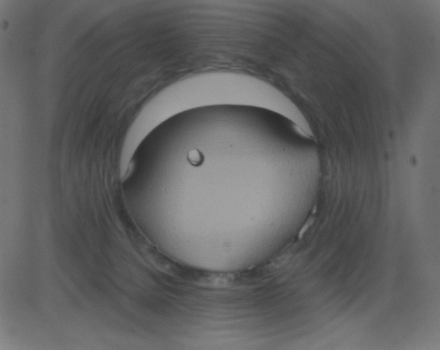 X0000081300080200702012320