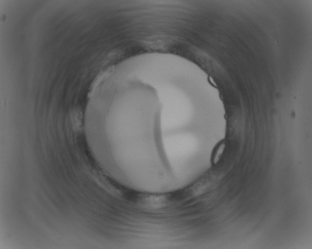 X0000081300081200702012320