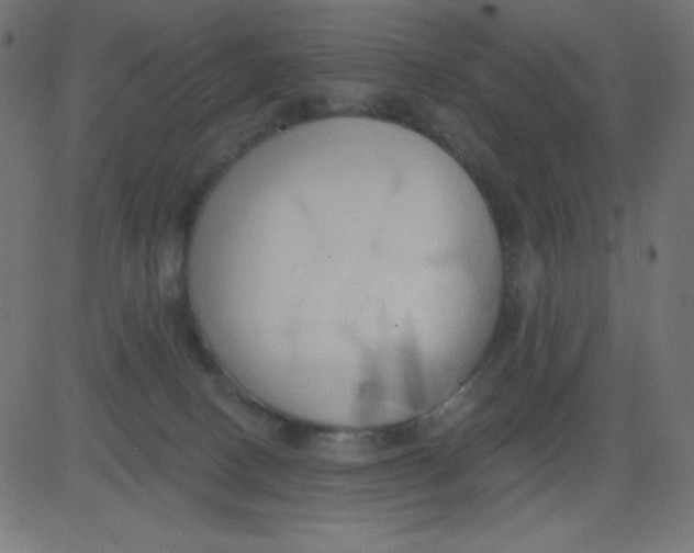 X0000081300082200702012320