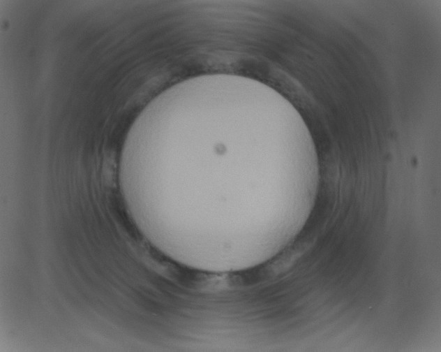 X0000081300083200702012320