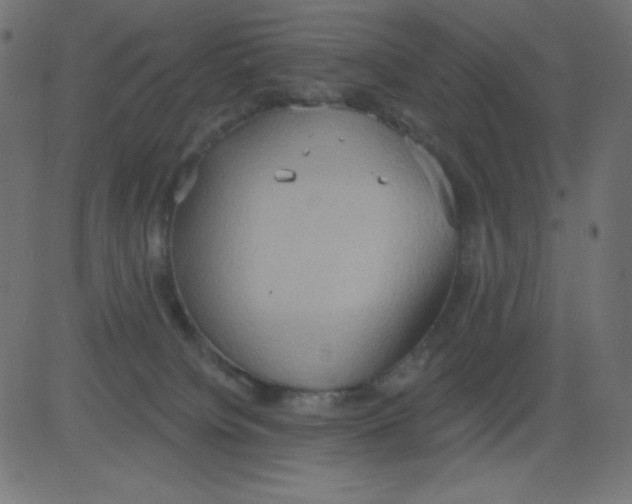 X0000081300084200702012320