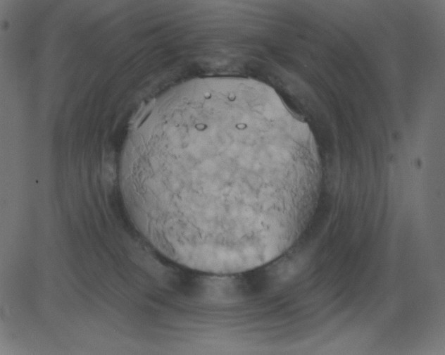 X0000081300085200702012320