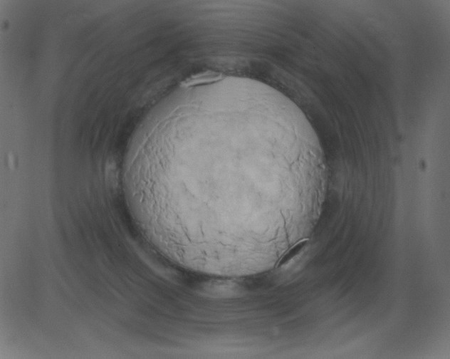 X0000081300086200702012320