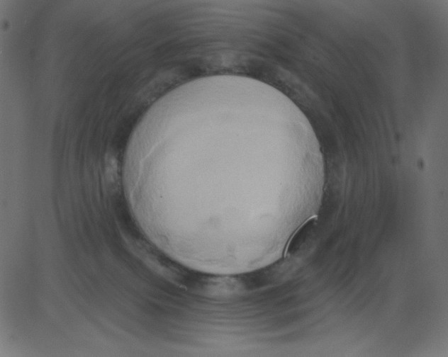 X0000081300087200702012320