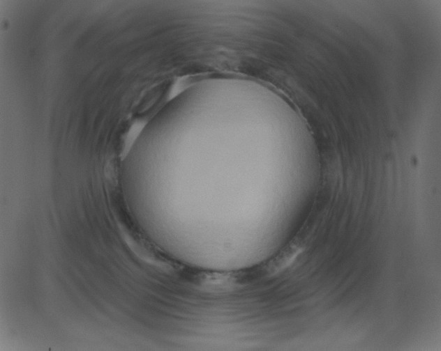 X0000081300088200702012320