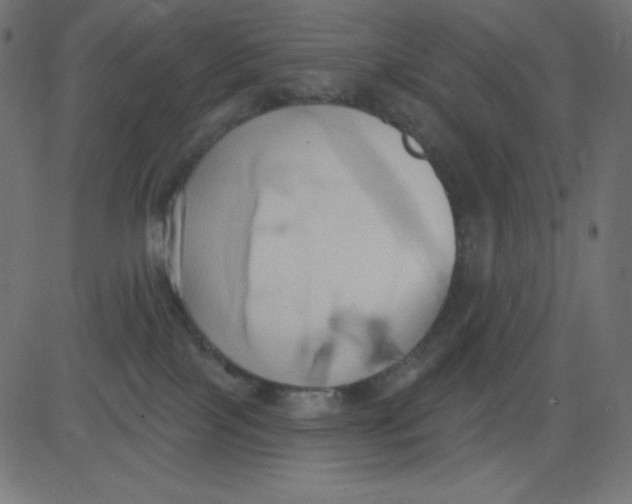 X0000081300089200702012320