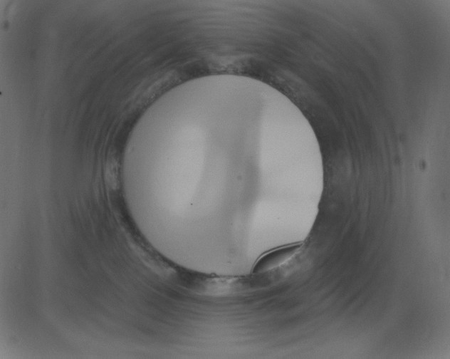 X0000081300090200702012320