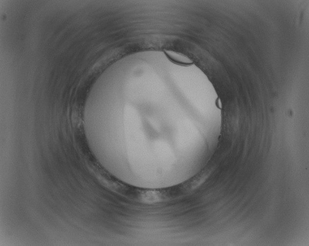 X0000081300091200702012320