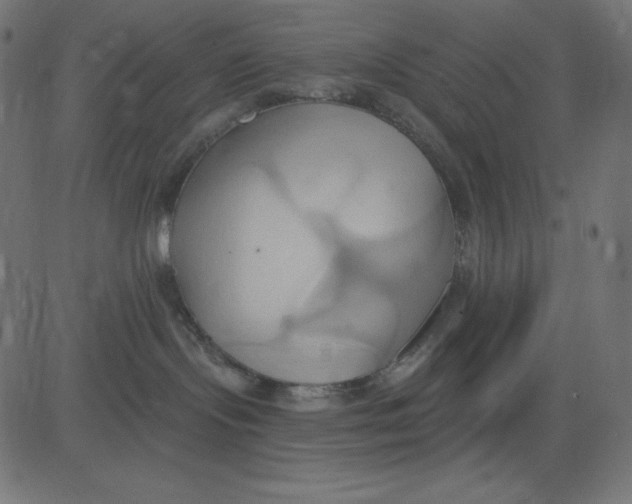 X0000081300095200702012320