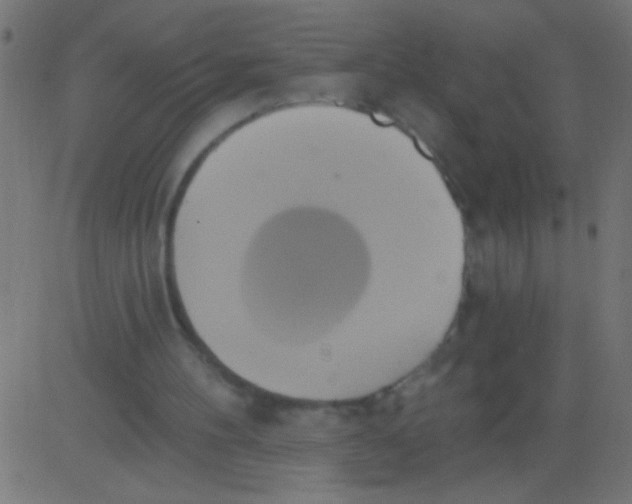 X0000081300100200702012319