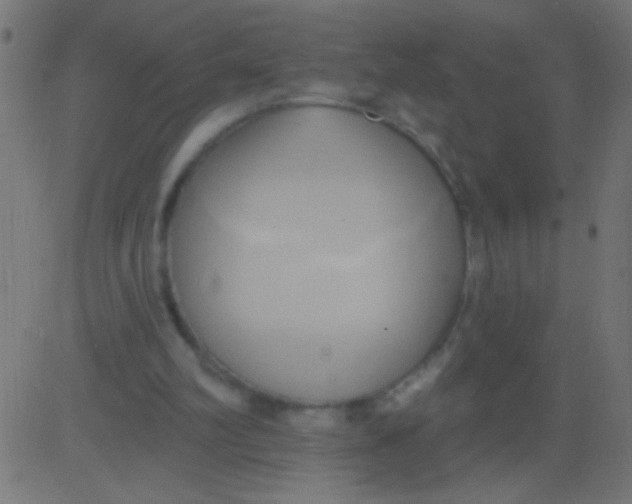 X0000081300102200702012319