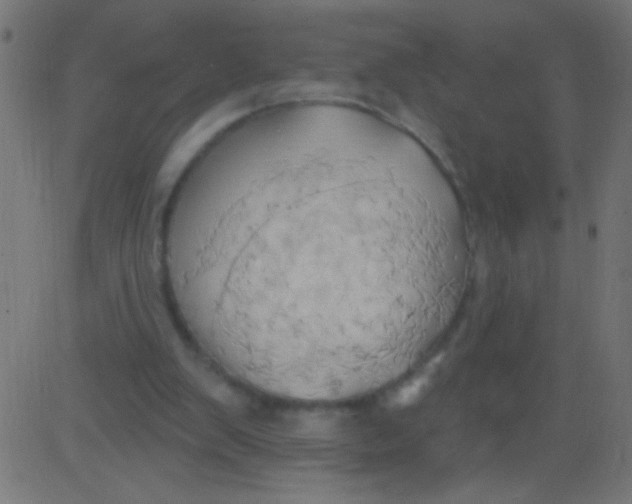 X0000081300103200702012319