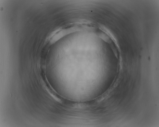 X0000081300105200702012319