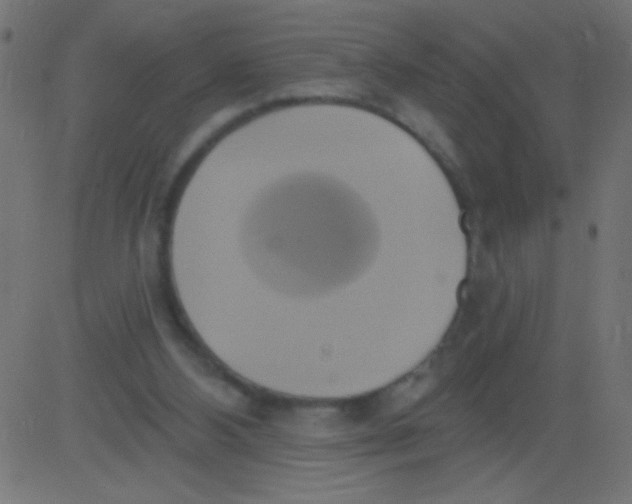 X0000081300108200702012319